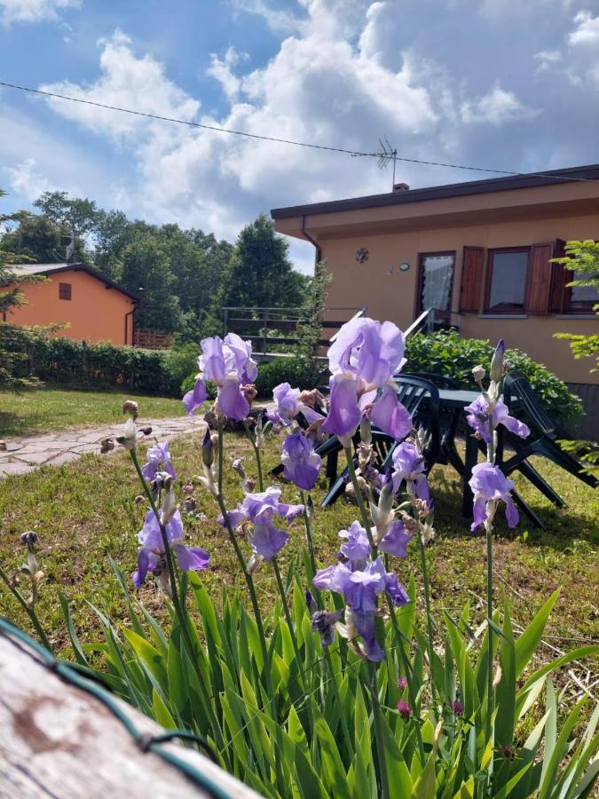 Chalet Grazia Valgiano Eksteriør bilde
