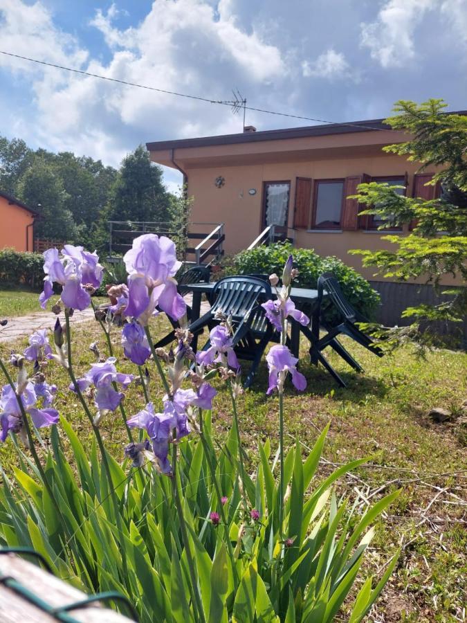 Chalet Grazia Valgiano Eksteriør bilde